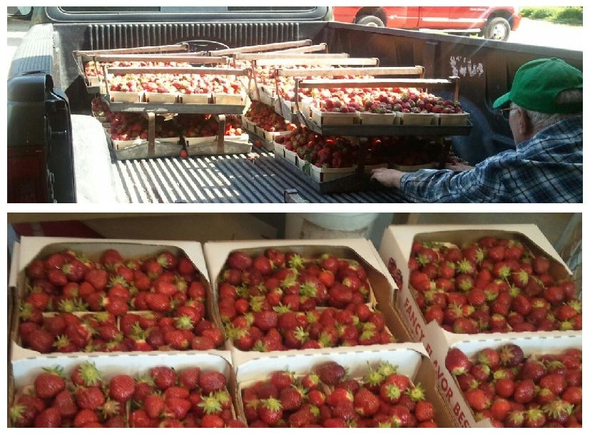 Wolf Ridge Gardens & Greenhouse